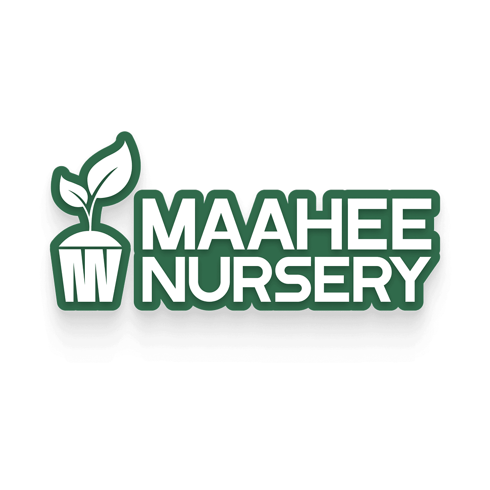 Maahee Nursery : 